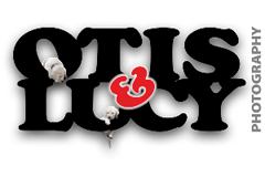 Otis & Lucy Photography